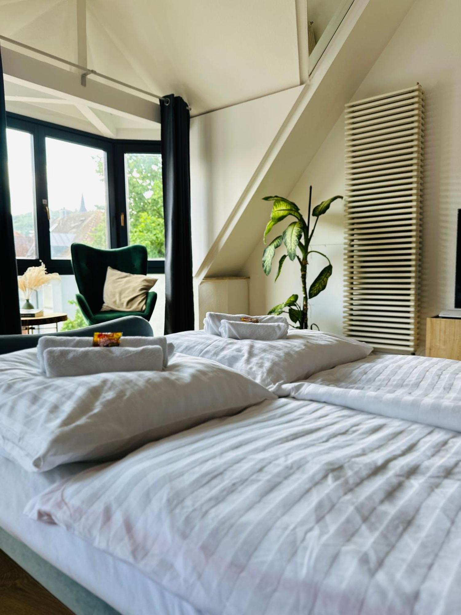 Amao-Green I 90Qm I Penthouse Maisonette Mit Rooftop I City Center I King-Size Betten Lahr  Bagian luar foto